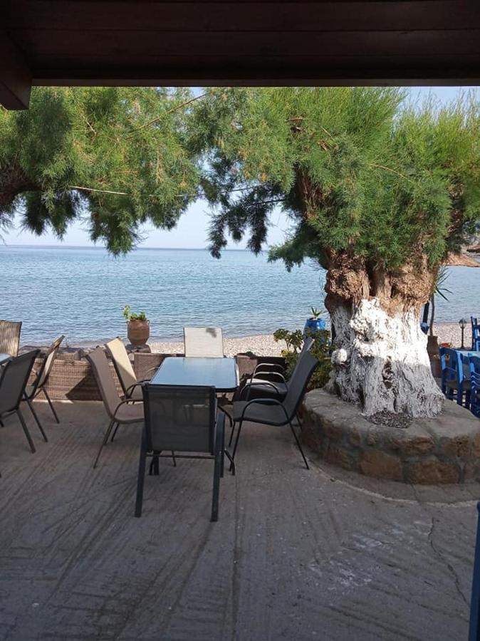 Beachfront Apartment Kato Káto Zákros エクステリア 写真